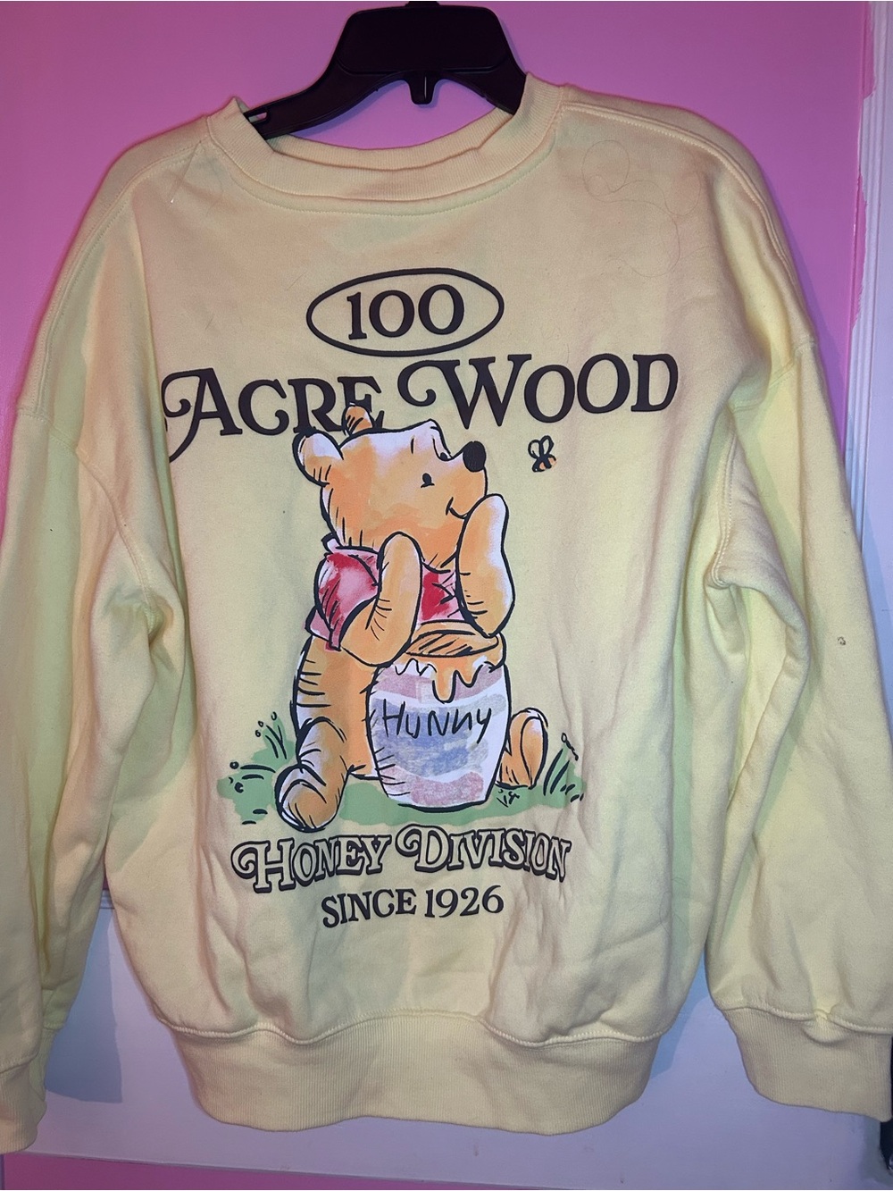 Disney Yellow Winnie the Pooh 100 Acre Wood Graphic Sweatshirt
